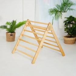 Indoor Montessori Triangle Climbing Ladder for Toddlers 1-7 y.o. (ONLINE ORDER ONLY)