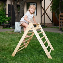 Indoor Montessori Triangle Climbing Ladder for Toddlers 1-7 y.o. (ONLINE ORDER ONLY)