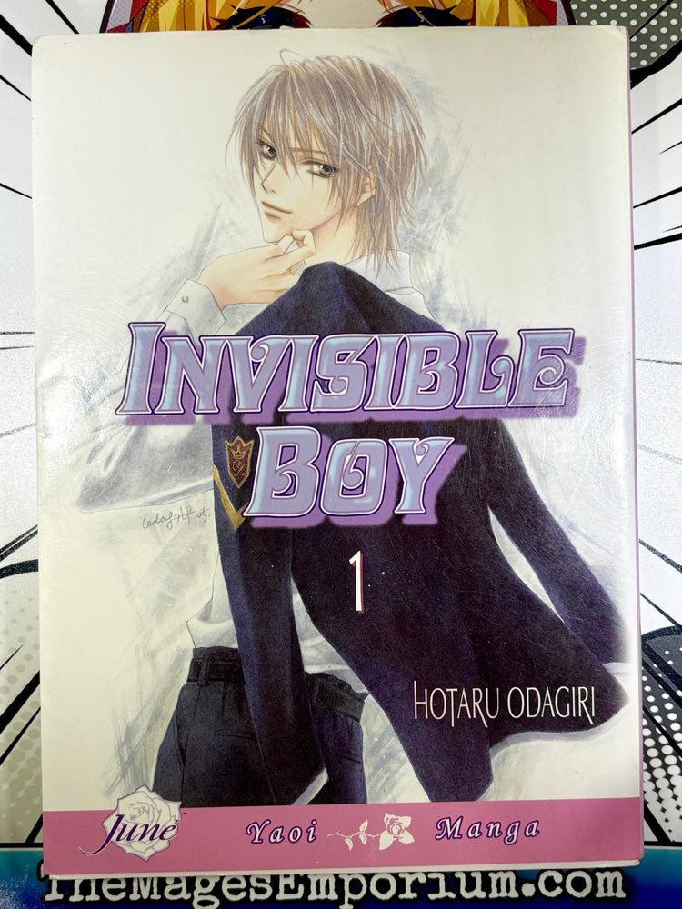Invisible Boy Vol 1 (Online Order Only)