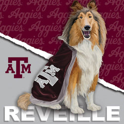 Texas A&M Aggies - NCAA Mascot 100 Piece Jigsaw Puzzle (ONLINE ORDER ONLY)