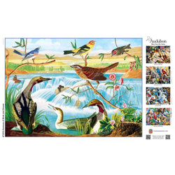 Audubon - Harmony of Birds and Stream 1000 Piece Jigsaw Puzzle (ONLINE ORDER ONLY)