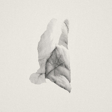 JABU - Sleep Heavy [Vinyl] (ONLINE ORDER ONLY)