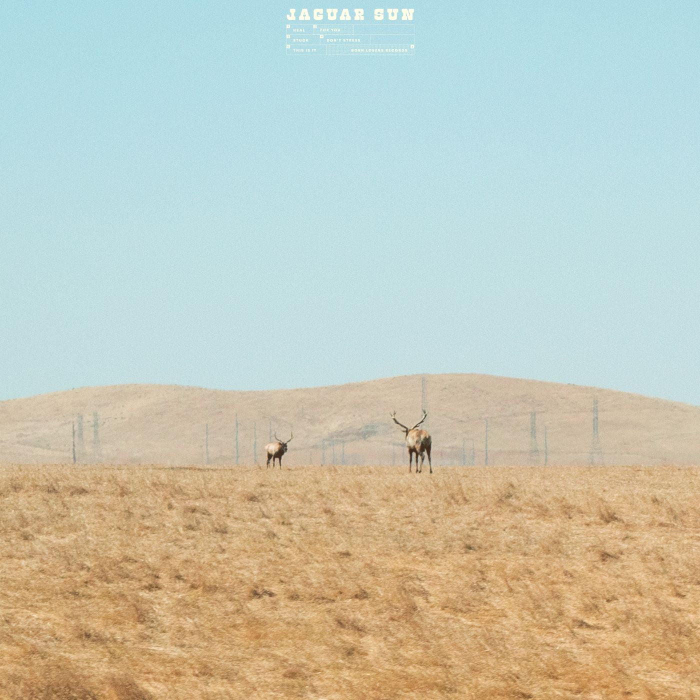 For You (Blue And Black Swirl Vinyl) [Vinyl] (ONLINE ORDER ONLY)