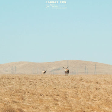 For You (Blue And Black Swirl Vinyl) [Vinyl] (ONLINE ORDER ONLY)