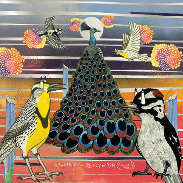 Jaimie Branch - Fly or Die Fly or Die Fly or Die ((world war)) [Vinyl] (ONLINE ORDER ONLY)