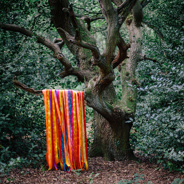 JAMES HOLDEN & THE ANIMAL SPIRITS - The Animal Spirits [CD] (ONLINE ORDER ONLY)