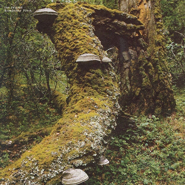 Kosmischer Pitch [Vinyl] (ONLINE ORDER ONLY)