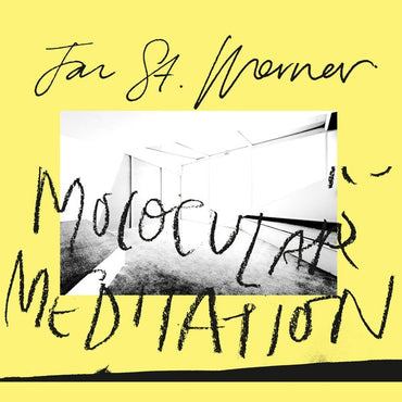 Jan St. Werner - Molocular Meditation [Vinyl] (ONLINE ORDER ONLY)