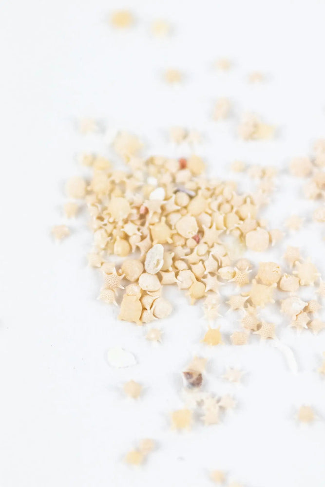 Japanese Star Sand (ONLINE ORDER ONLY)
