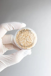 Japanese Star Sand (ONLINE ORDER ONLY)