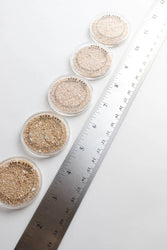 Japanese Star Sand (ONLINE ORDER ONLY)