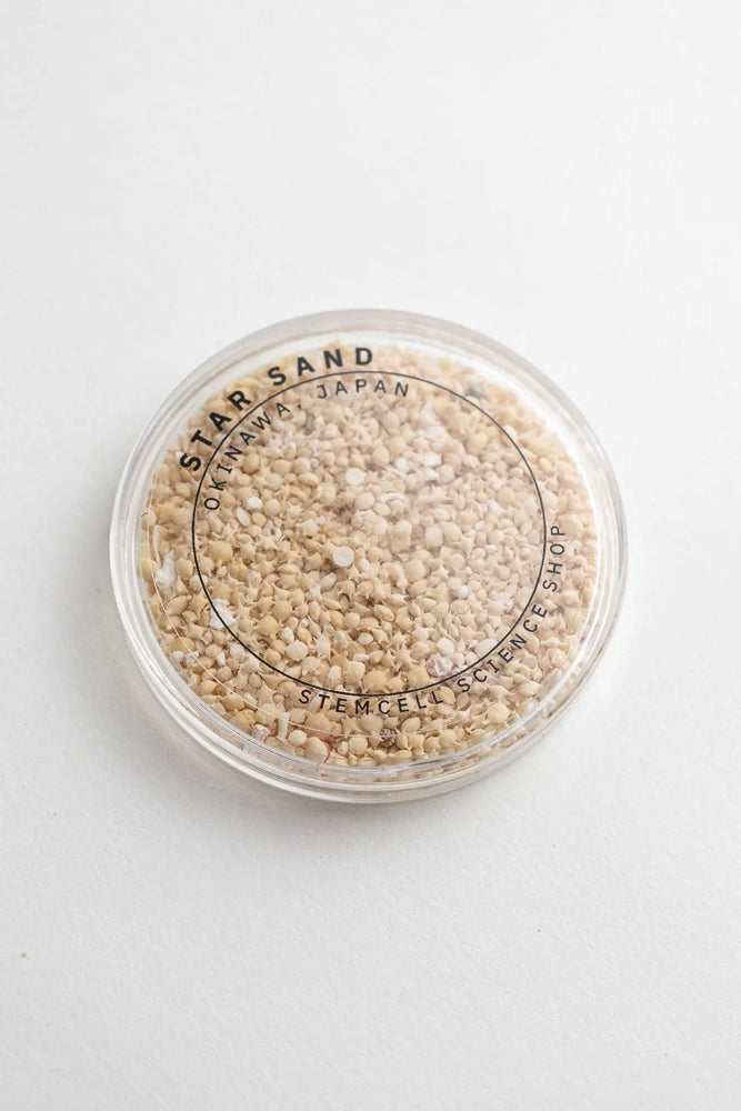 Japanese Star Sand (ONLINE ORDER ONLY)