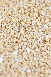 Japanese Star Sand (ONLINE ORDER ONLY)