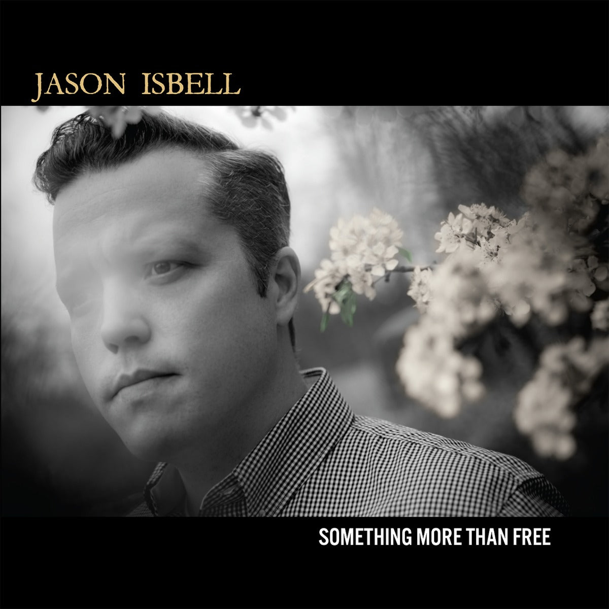 Something More Than Free (10 Year Anniversary Edition) (Indie Exclusive Denim Vinyl) [2LP] [Vinyl] (ONLINE ORDER ONLY)