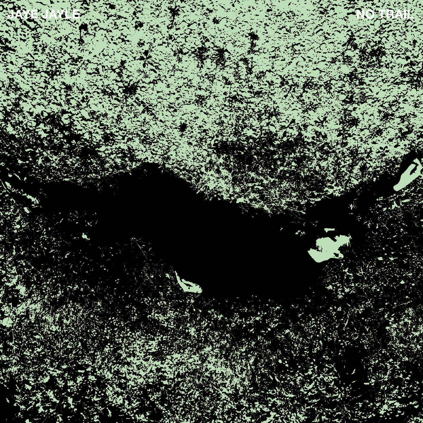 Jaye Jayle - No Trail and Other Unholy Paths [Vinyl] (ONLINE ORDER ONLY)