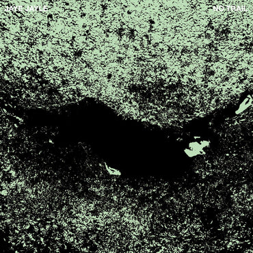 Jaye Jayle - No Trail and Other Unholy Paths [Vinyl] (ONLINE ORDER ONLY)