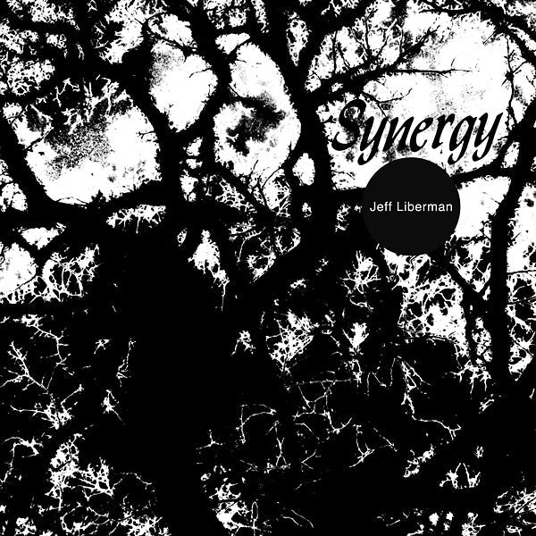 Synergy [Vinyl]