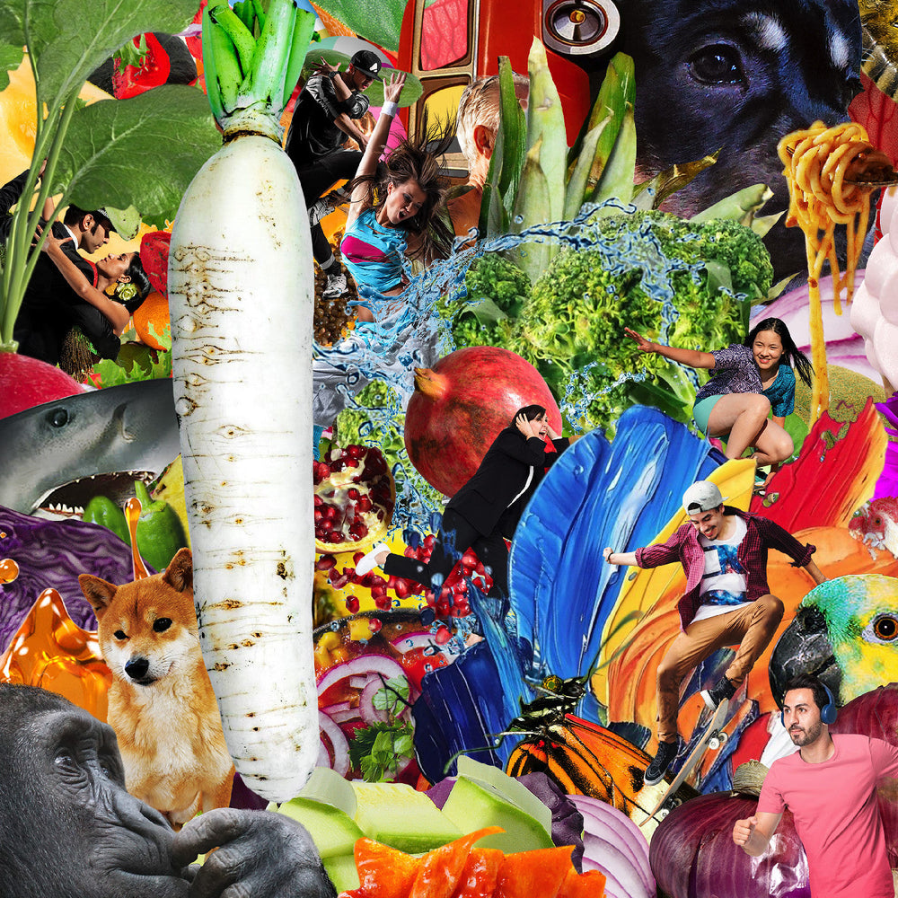 The Radiant Radish [CD] (ONLINE ORDER ONLY)