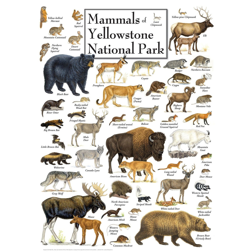 Mammals of Yellowstone National Park 1000 Piece Jigsaw Puzzle (ONLINE ORDER ONLY)