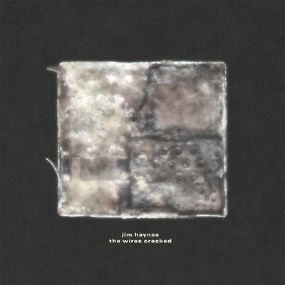 The Wires Cracked [Vinyl]