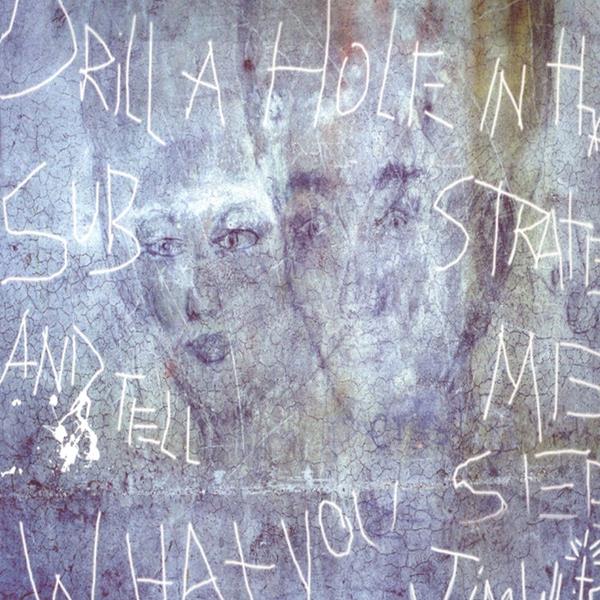 Drill A Hole in that Substrate nd Tell Me What You [CD]