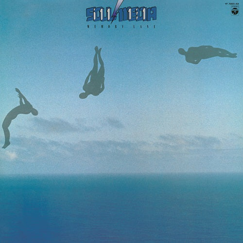 Memory Lane [Vinyl] (ONLINE ORDER ONLY)