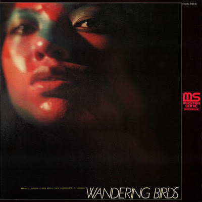 Wandering Birds [Vinyl]