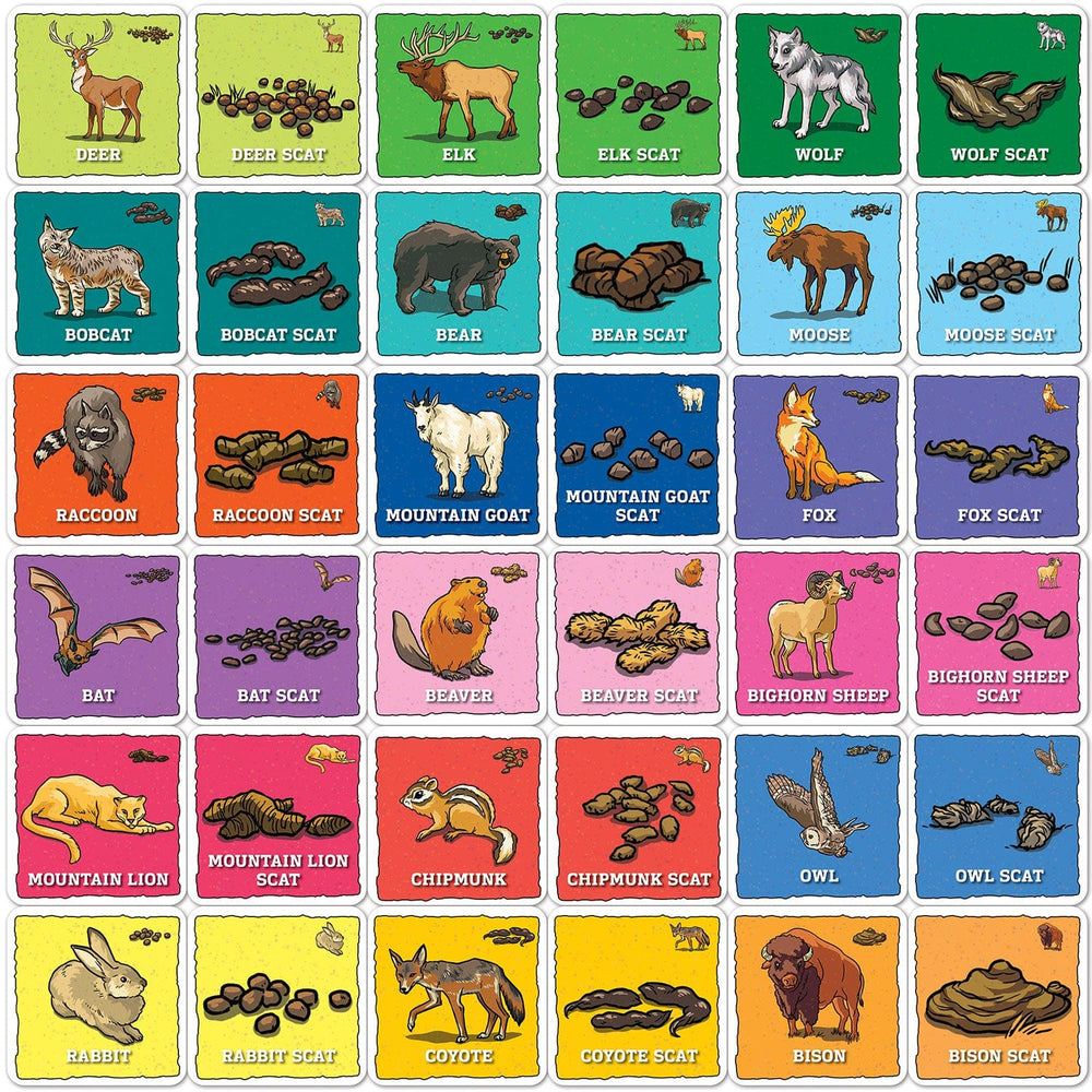 Jr. Ranger - Animal Poop Matching Game (ONLINE ORDER ONLY)