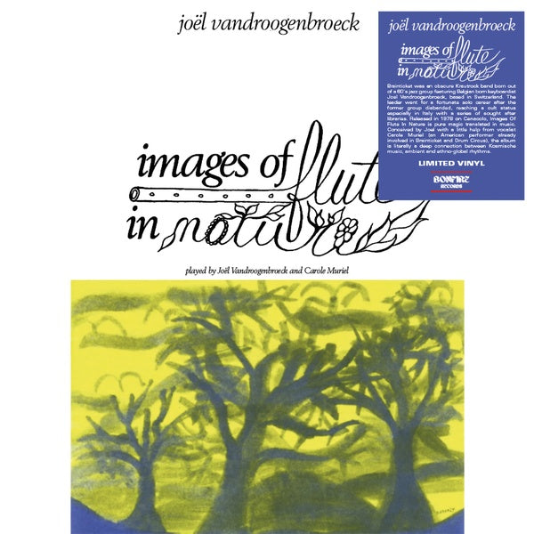 Joel Vandroogenbroeck - Images of Flute in Nature [Vinyl] (ONLINE ORDER ONLY)