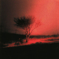 Piss In The Wind [Explicit Content] [Vinyl]