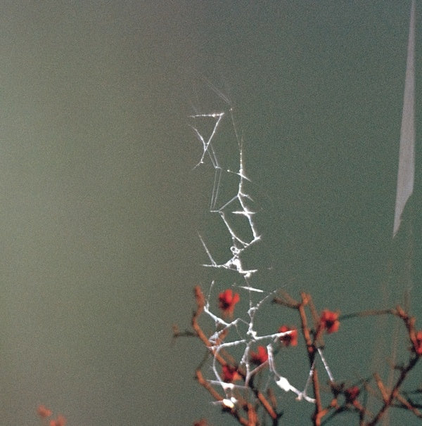 JON DALE - Last Blues [Vinyl] (ONLINE ORDER ONLY)