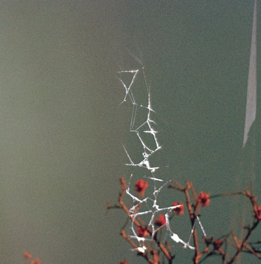 JON DALE - Last Blues [Vinyl] (ONLINE ORDER ONLY)