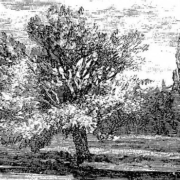 JS - Reduction 2 [Vinyl] (ONLINE ORDER ONLY)