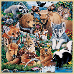 Wood Fun Facts - Forest Friends 48 Piece Wood Jigsaw Puzzle (ONLINE ORDER ONLY)