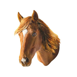 Furry Puzzle - Horse 48 Piece Shaped Puzzle (ONLINE ORDER ONLY)