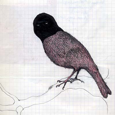 Barra Barra [CD]