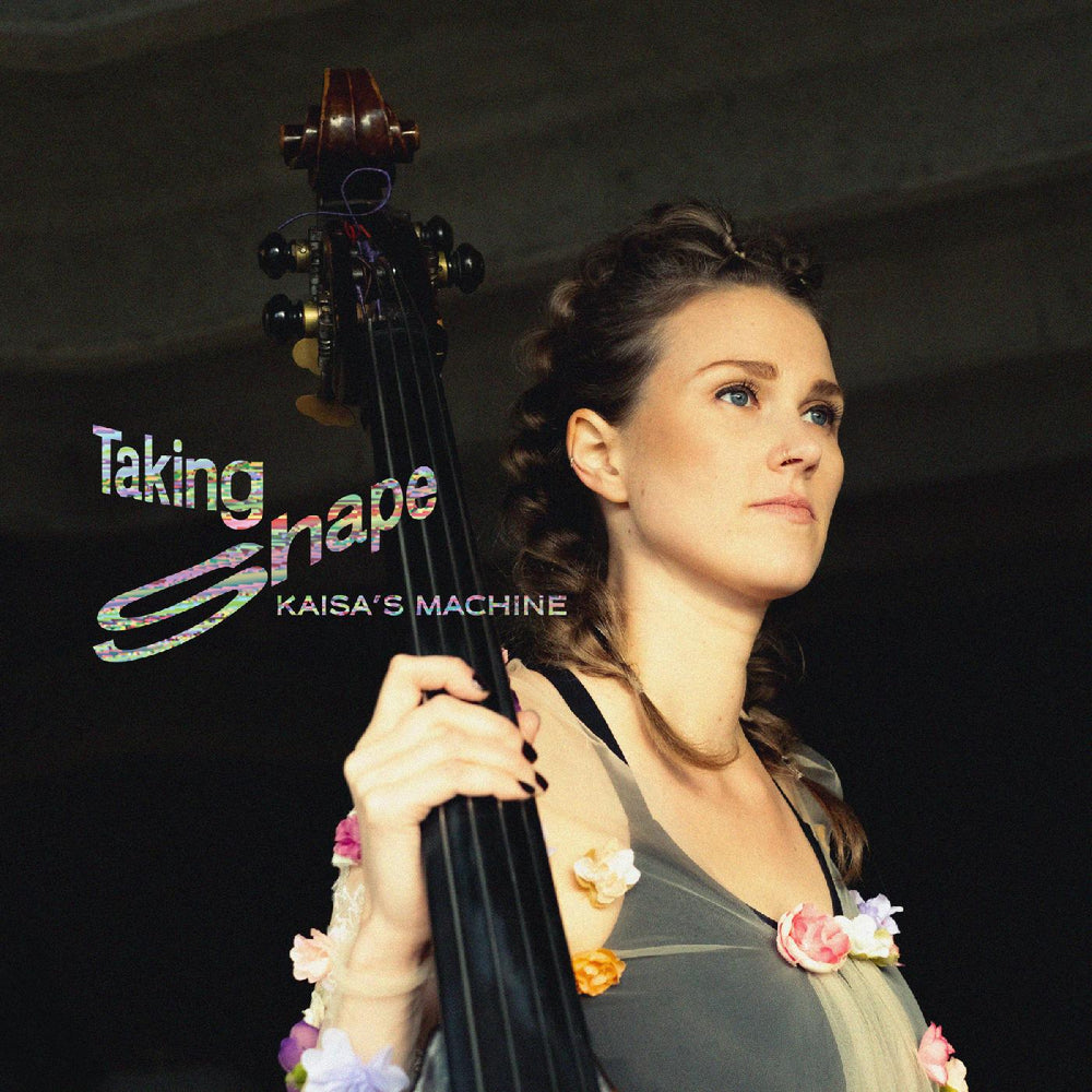 Taking Shape [CD]