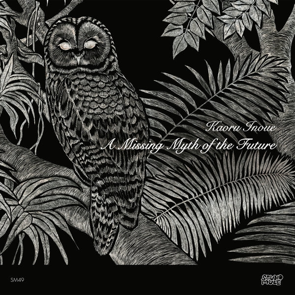 A Missing Myth Of The Future [Vinyl]