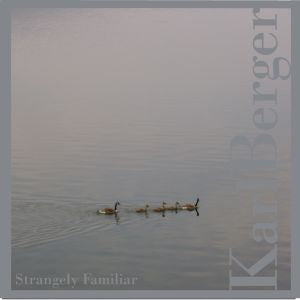 Strangely Familiar [CD]