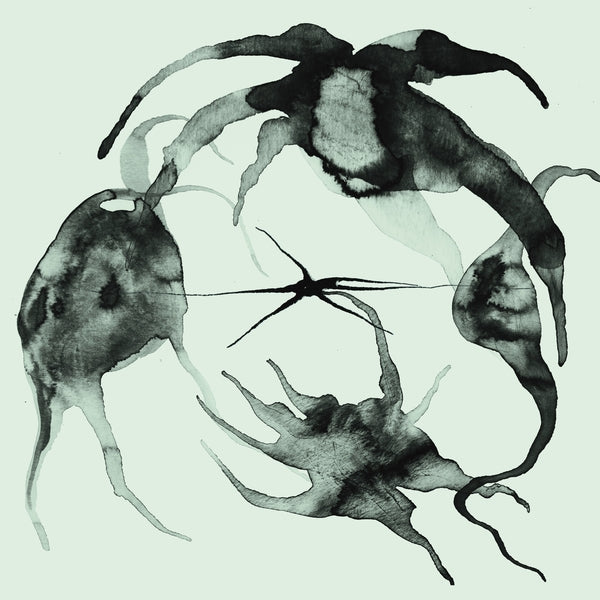 A Rift In the Horizon's Wall [Vinyl] (ONLINE ORDER ONLY)