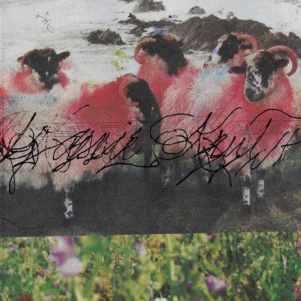 Kassie Krut (Deluxe Edition) [Vinyl] (ONLINE ORDER ONLY)