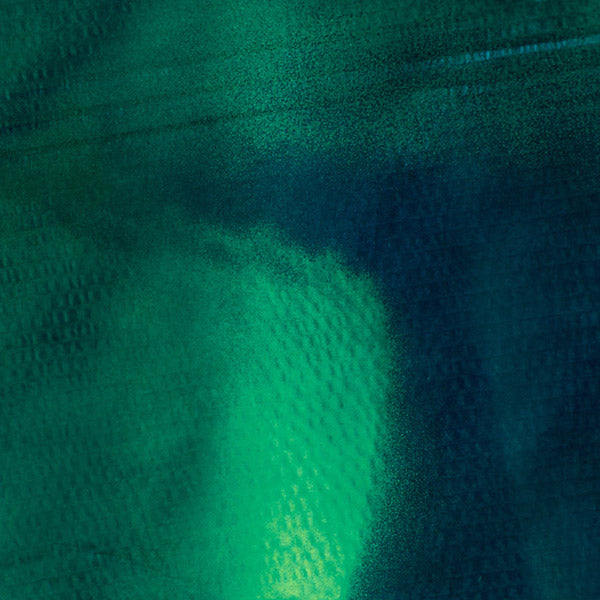 KATHARINA GROSSE & STEFAN SCHNEIDER - Tiergarten [Vinyl] (ONLINE ORDER ONLY)