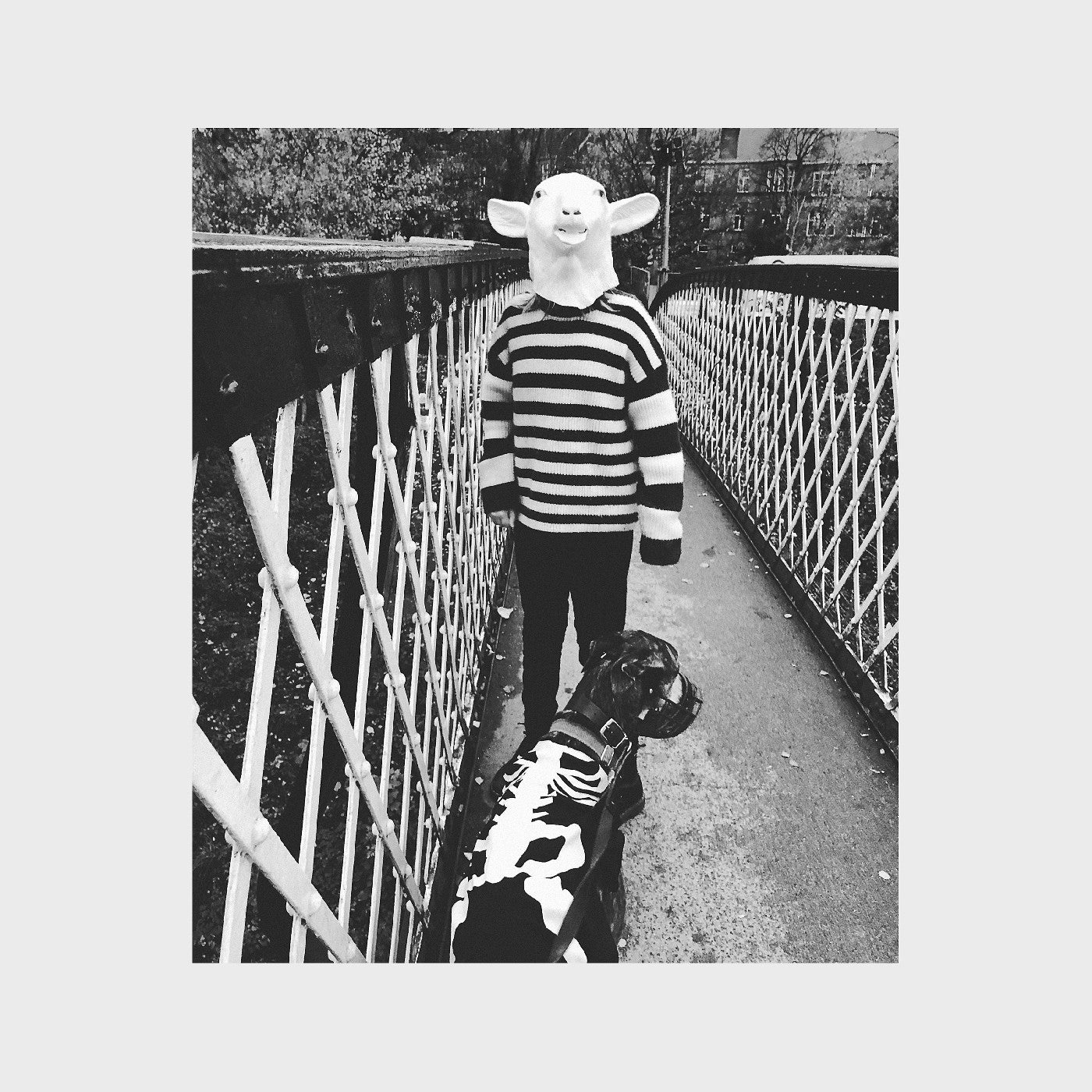 We Were Made Prey. (Red Vinyl) [Vinyl] (ONLINE ORDER ONLY)