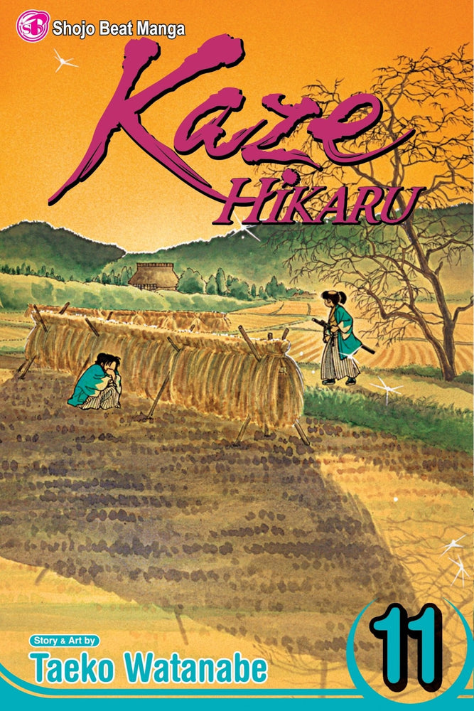 Kaze Hikaru Vol 11 (Online Order Only)