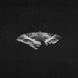 To Pimp A Butterfly (10 Year Anniversary Edition) - Alternate Artwork [180G 2 Lp] [Vinyl] (ONLINE ORDER ONLY)