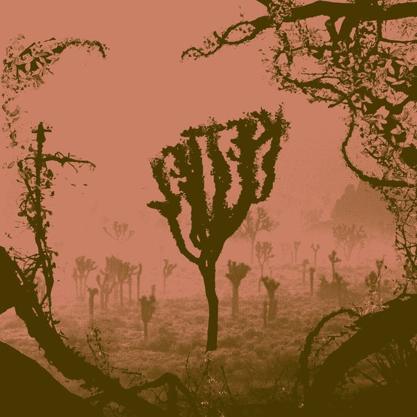KETTEL - My Dogan [Vinyl]