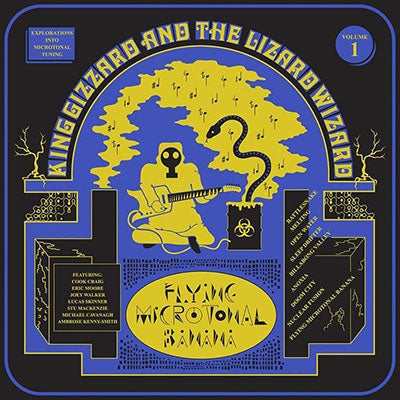 Flying Microtonal Banana [Eco-Wax Edition LP] [Vinyl]