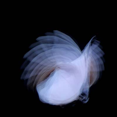 Feathermagnetik [CD]