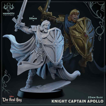 Knight Captain Apollo (Male Human Paladin) (Online Order Only)