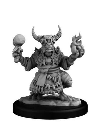 Kobold Shaman (ONLINE ORDER ONLY)